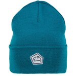 E9 Beanie, petrol