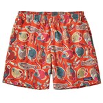 Patagonia Baggies Shorts 5 in., S, wrasse: pollinator orange
