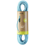 Edelrid Guide Assist Eco Dry 8mm II Tourenseil, 20m, icemint