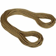 Mammut 9.9 Gym Workhorse Classic Rope Kletterseil