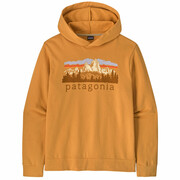 Patagonia Fitz Roy Foothills Daily Hoody